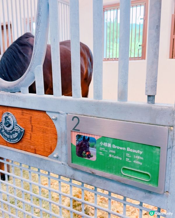 親子遊！彭福公園旁親親小馬！🐎🥰