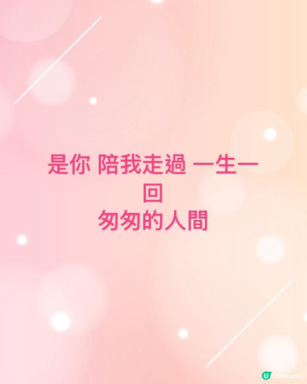 是你 陪我走過 一生一回