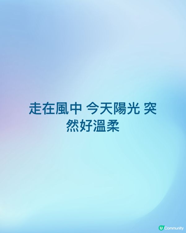 走在風中 今天陽光 突然好溫柔