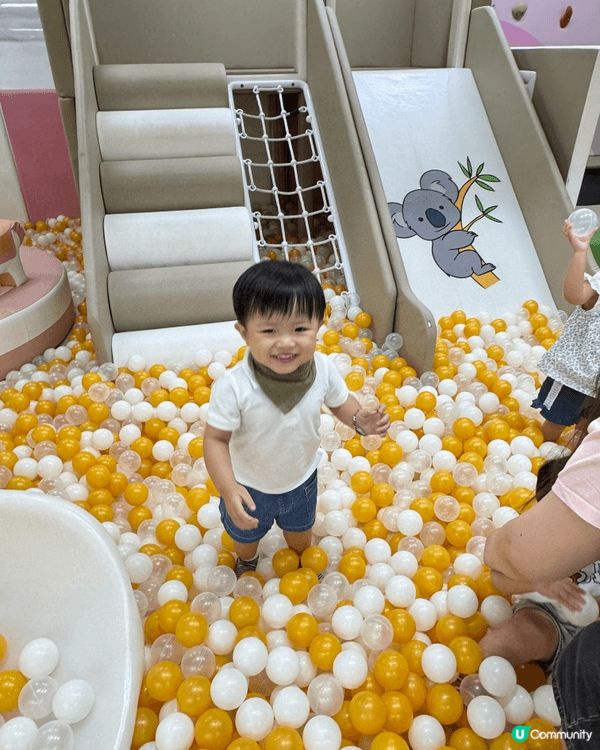 觀塘#樹熊之森# 