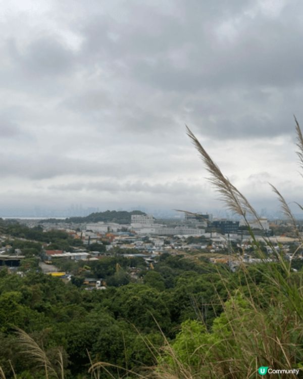 海洋公園: 大人小朋友放鬆心情好去處，玩一日，開心又可以有深...