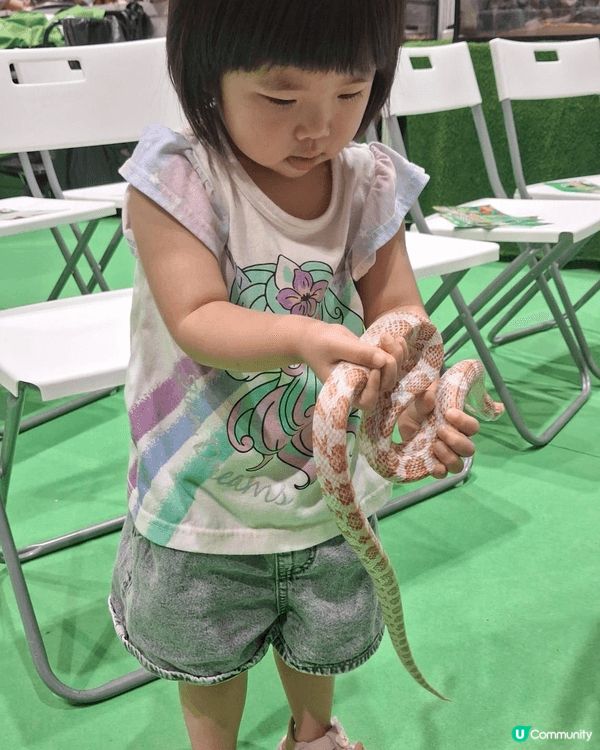 去bb展同冷血動物玩