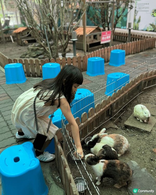 高雄的天使&惡魔寵物互動園區以及義大遊樂世界非常適合親子玩樂...