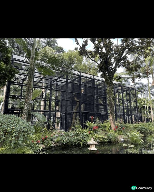 香港動植物公園 因為有好多五同品種既動物 小朋友可以認識 而...