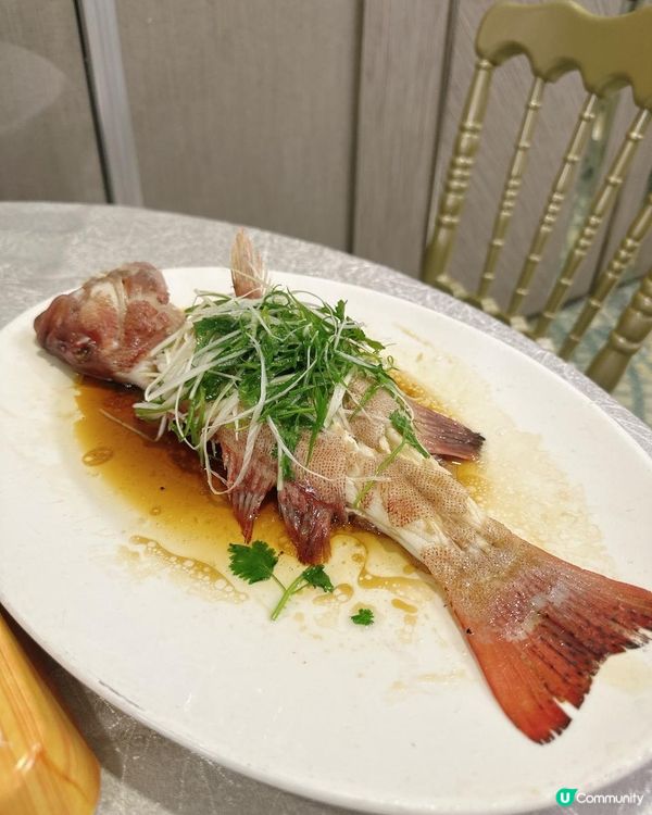 生猛海鮮・鑊氣小炒