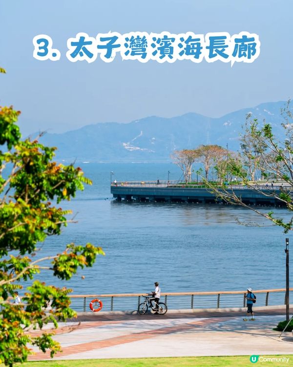 深圳限時免費穿梭巴士🚌暢遊蛇口4大景點✨為期約3個月