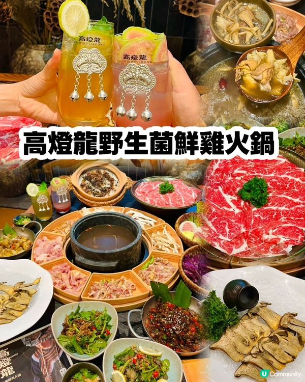 福田新店開幕🌟高燈龍野生菌鮮雞火鍋🌟