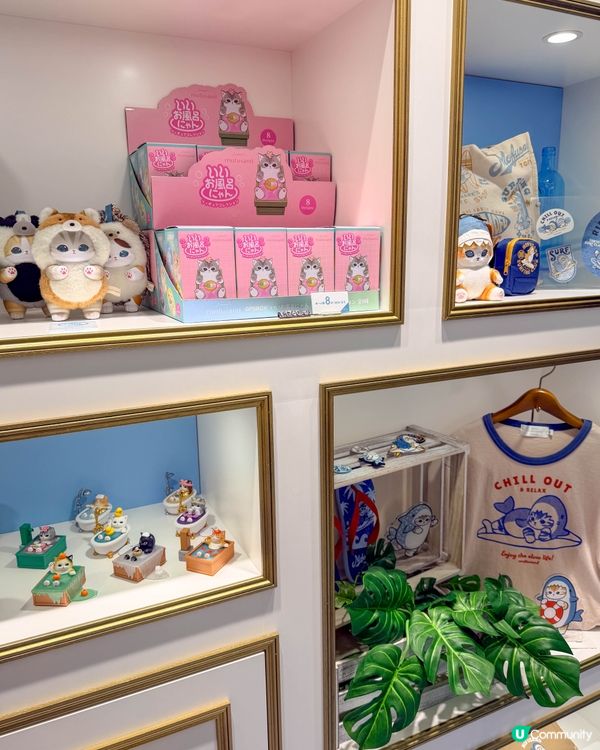 📍 原宿打卡｜鯊魚貓的夏日 Surf Shop