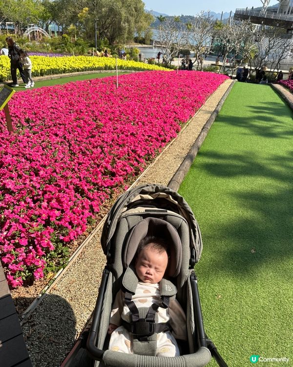 新手爸媽帶 B 輕鬆出遊！👶🌳