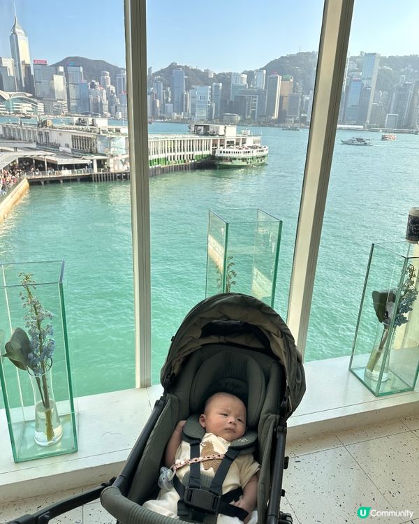 新手爸媽放電之選!海港城帶BB輕鬆行街指南