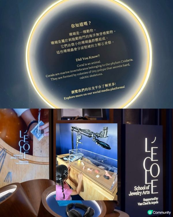 😍藝術非大人專利！小朋友免費睇珊瑚珠寶！🤩