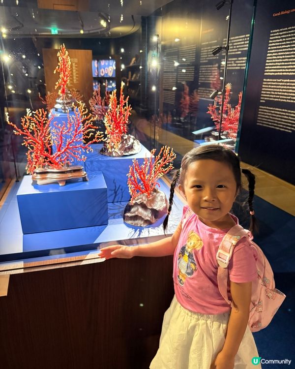 😍藝術非大人專利！小朋友免費睇珊瑚珠寶！🤩