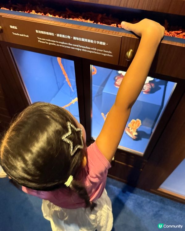 😍藝術非大人專利！小朋友免費睇珊瑚珠寶！🤩