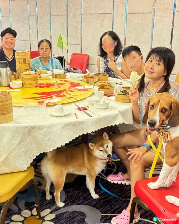 火炭呢間酒樓有 3 小時點心放題, 每人唔使一百蚊. 好唔好...