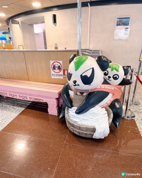 澳門🇲🇴梳打熊貓🐼