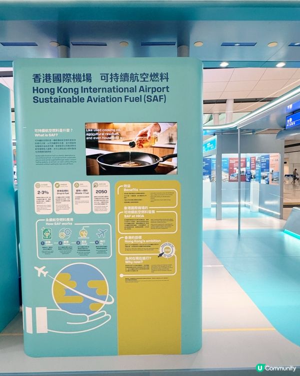 2050淨零碳排放目標航向未來✈️