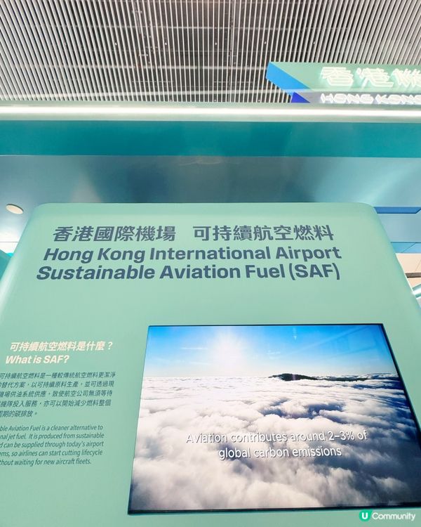 2050淨零碳排放目標航向未來✈️