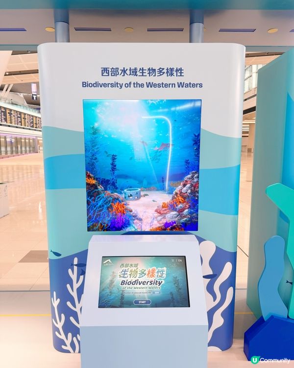 機場發展與自然共存故事🌊✈️