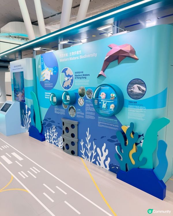 機場發展與自然共存故事🌊✈️