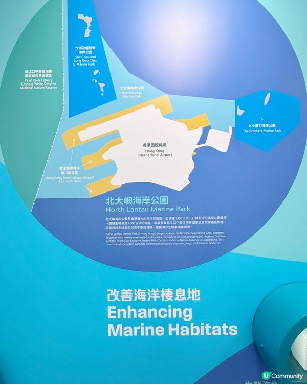 機場發展與自然共存故事🌊✈️
