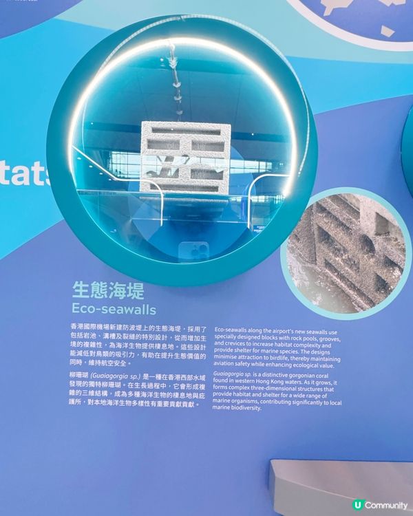 機場發展與自然共存故事🌊✈️