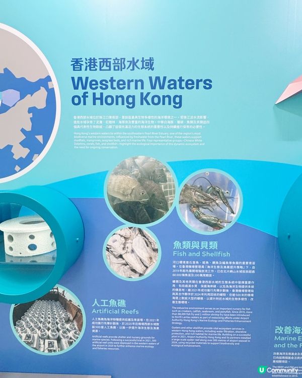 機場發展與自然共存故事🌊✈️