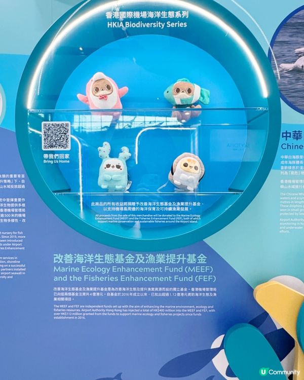 機場發展與自然共存故事🌊✈️