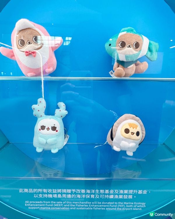 機場發展與自然共存故事🌊✈️