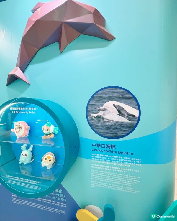 機場發展與自然共存故事🌊✈️