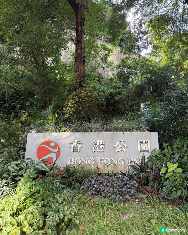  香港公園chill 🌳🐦
