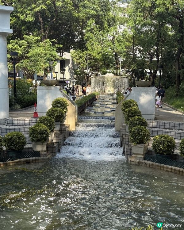  香港公園chill 🌳🐦