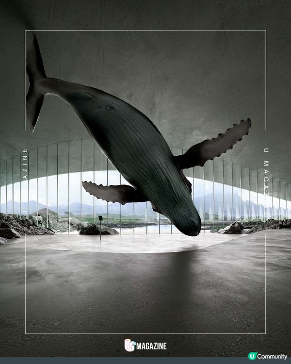 挪威海洋體驗中心「The Whale」即將登場！                                                    