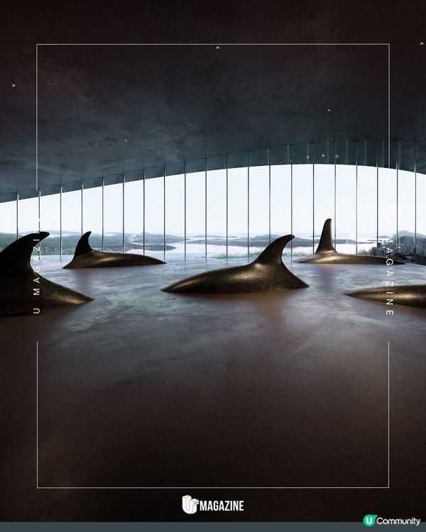 挪威海洋體驗中心「The Whale」即將登場！                                                    
