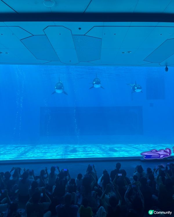 珠海長隆三日兩夜😍長隆Show酒店環境真心高質素