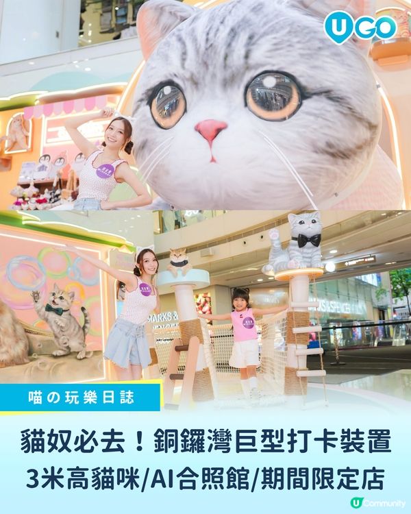 貓奴必去🐱！皇室堡「喵の玩樂日誌」療癒登場✨ 現場設有 3 ...