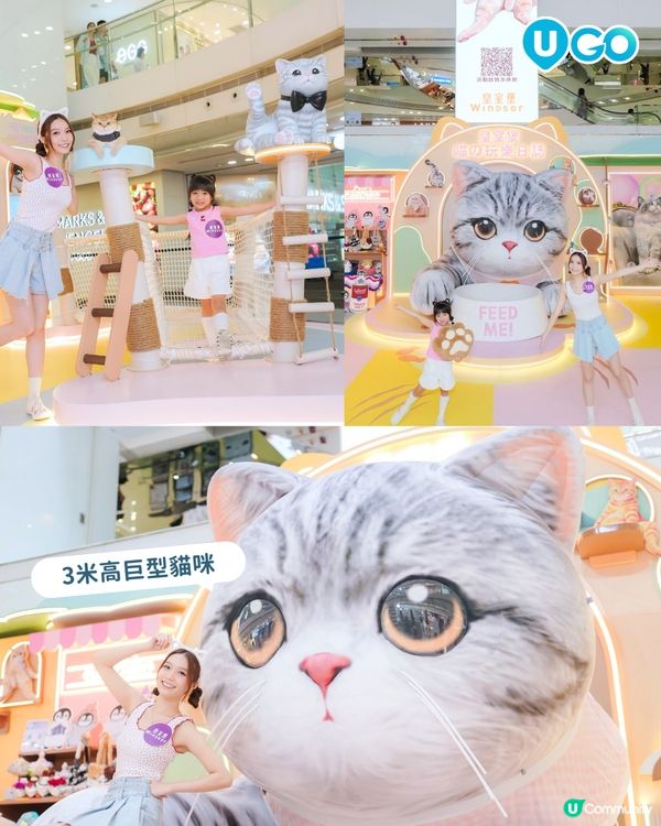 貓奴必去🐱！皇室堡「喵の玩樂日誌」療癒登場✨ 現場設有 3 ...