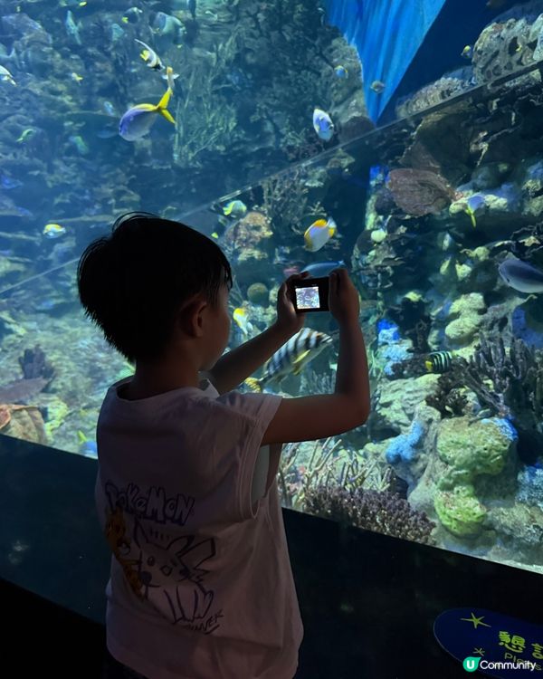 夏日炎炎 💦 海洋公園樂趣多！🐠