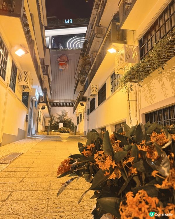 仁慈堂右巷日夜兩種浪漫氛圍✨