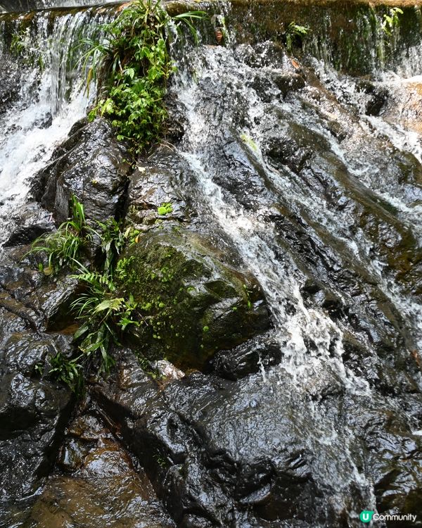 山林、飛瀑、清風，完美的一天！