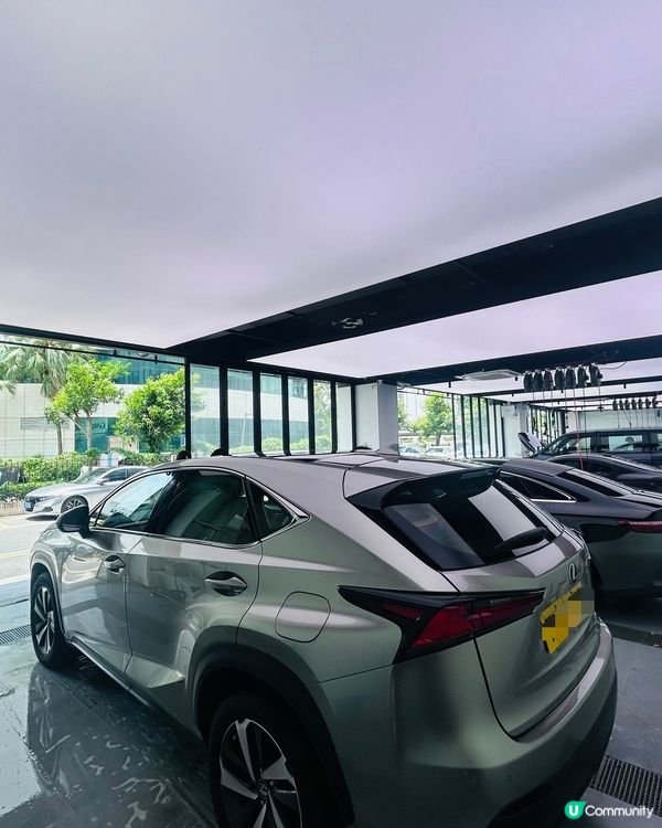 港車北上換汽車隔熱膜，車衣7000全包！🤩🚗