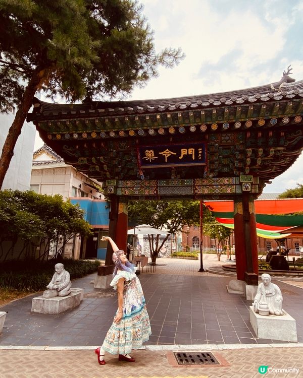 免費入場！大邱藥令市睇盡珍貴韓藥材 🤩🌿