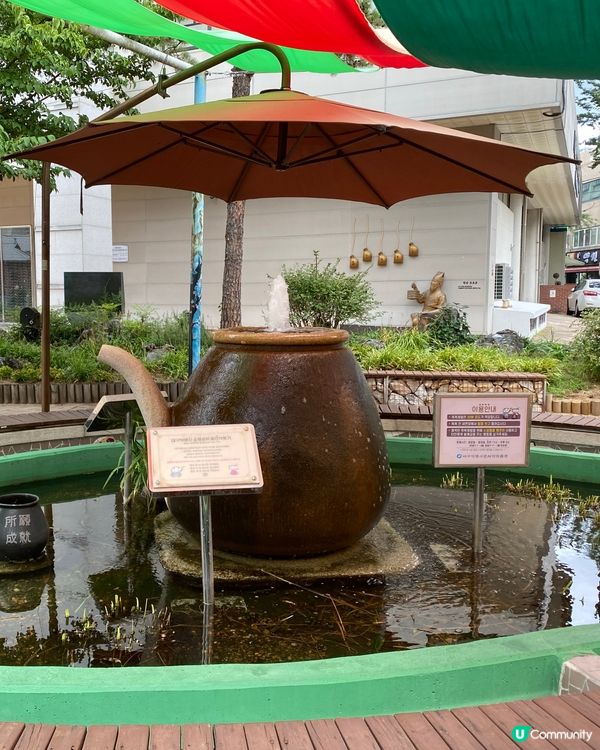 免費入場！大邱藥令市睇盡珍貴韓藥材 🤩🌿