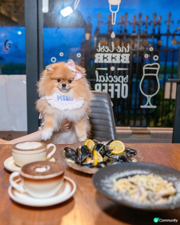 ☕️大埔村屋驚喜☕️嘆咖啡🐱🐶📸