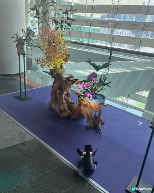 灣仔走走 看看美食及家居展覽的日子