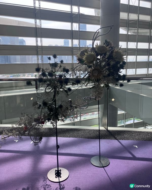 灣仔走走 看看美食及家居展覽的日子