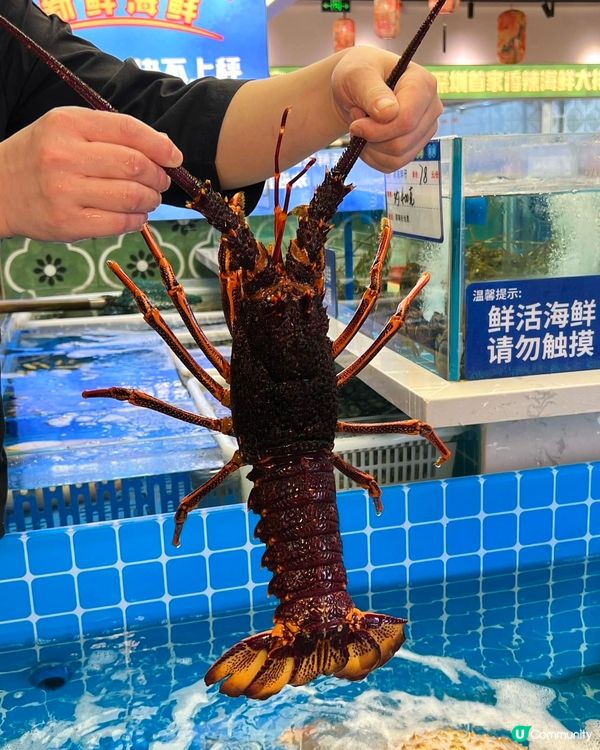 劉棟梁大排檔由上海開到來深圳啦!