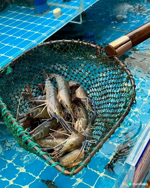 劉棟梁大排檔由上海開到來深圳啦!