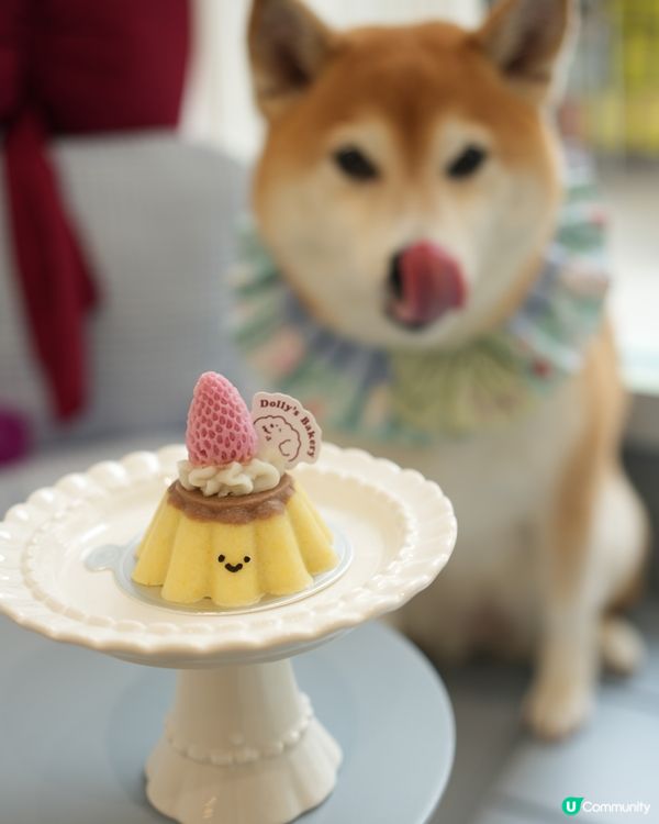 🍰元朗美食之旅🍦