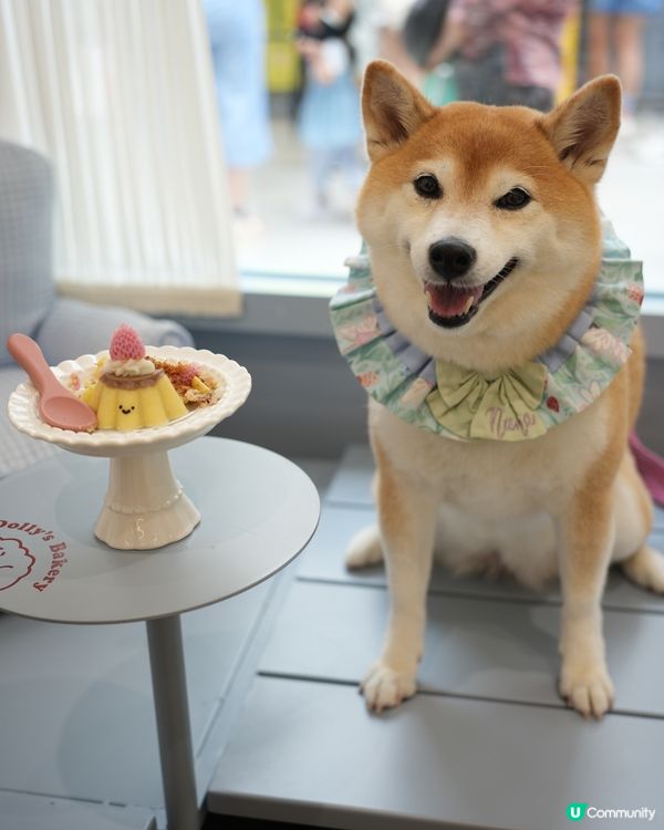🍰元朗美食之旅🍦
