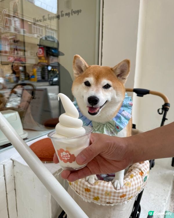 🍰元朗美食之旅🍦